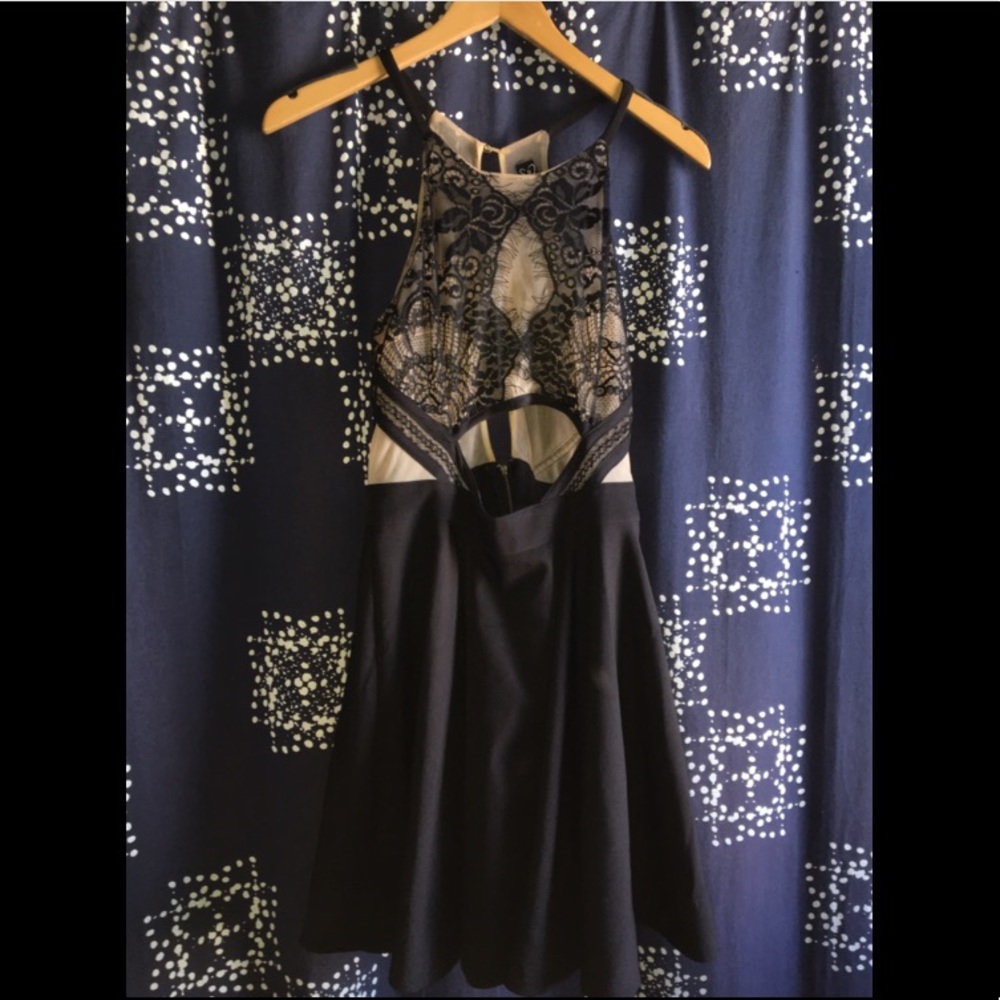 Windsor Black & Nude Mesh Skater Style Short Dress